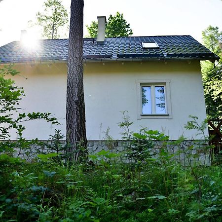 Gorski Domek Kolo Karpacza- Apartamentuj מראה חיצוני תמונה
